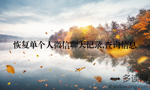 恢复单个人微信聊天记录,查询信息