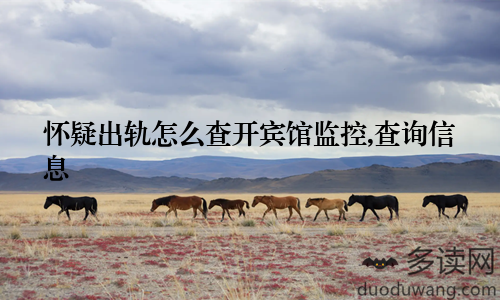 怀疑出轨怎么查开宾馆监控,查询信息