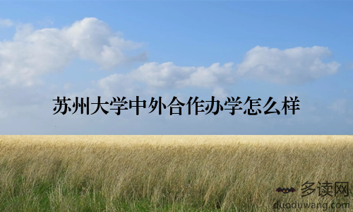 苏州大学中外合作办学怎么样