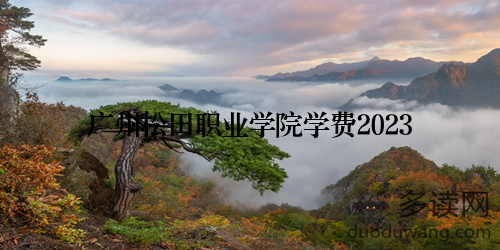 广州松田职业学院学费2023