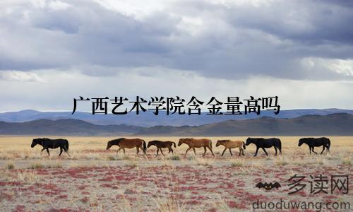 广西艺术学院含金量高吗