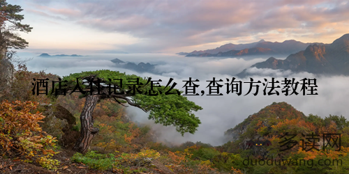 酒店入住记录怎么查,查询方法教程