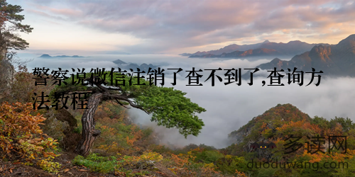 警察说微信注销了查不到了,查询方法教程