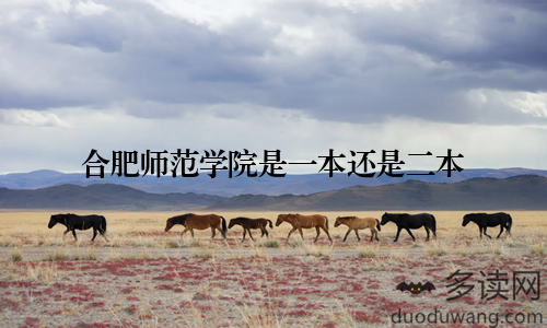 合肥师范学院是一本还是二本