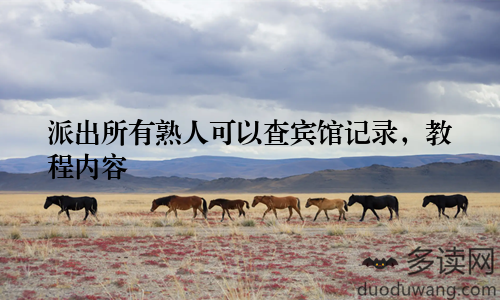 派出所有熟人可以查宾馆记录，教程内容