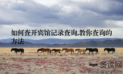 如何查开宾馆记录查询,教你查询的方法