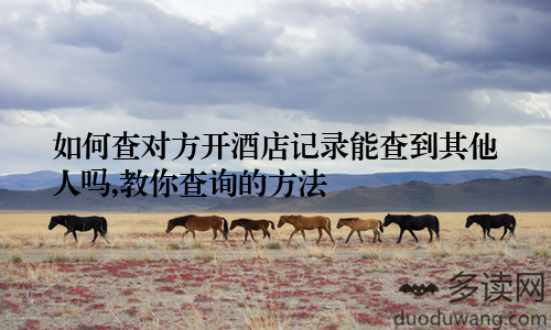 如何查对方开酒店记录能查到其他人吗,教你查询的方法