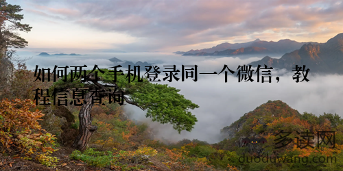 如何两个手机登录同一个微信，教程信息查询