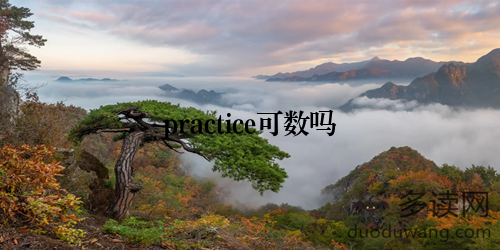 practice可数吗
