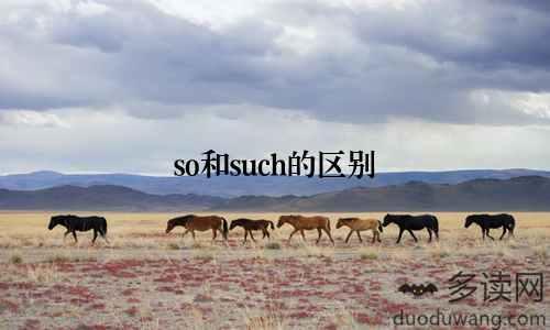 so和such的区别