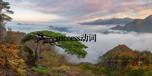 success动词