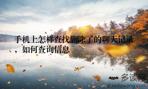 手机上怎样查找删除了的聊天记录，如何查询信息