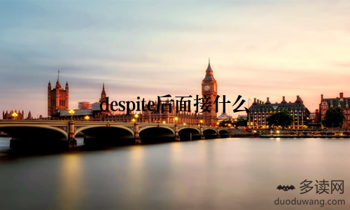despite后面接什么