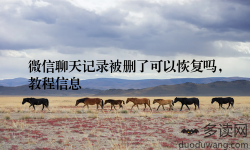 微信聊天记录被删了可以恢复吗，教程信息