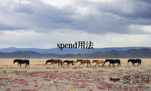 spend用法