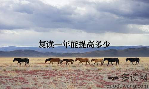 复读一年能提高多少