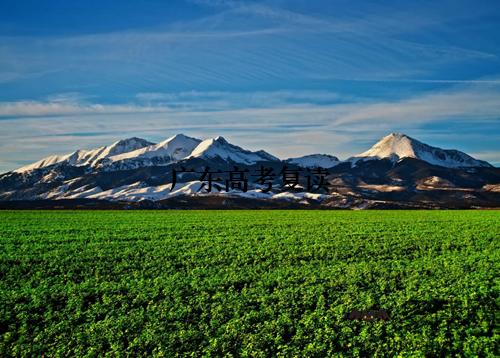广东高考复读