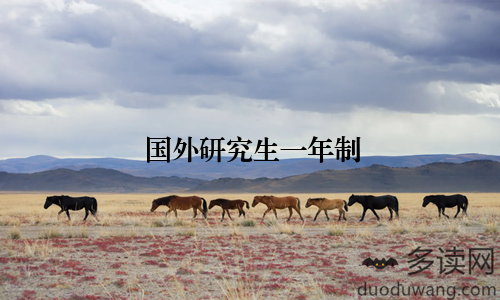 国外研究生一年制