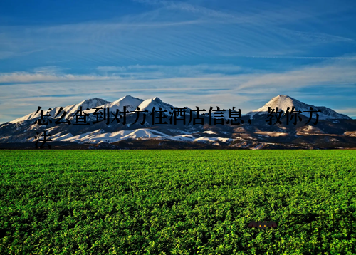 怎么查到对方住酒店信息，教你方法