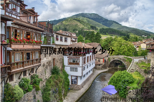 回族高考能加多少分