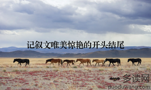 记叙文唯美惊艳的开头结尾