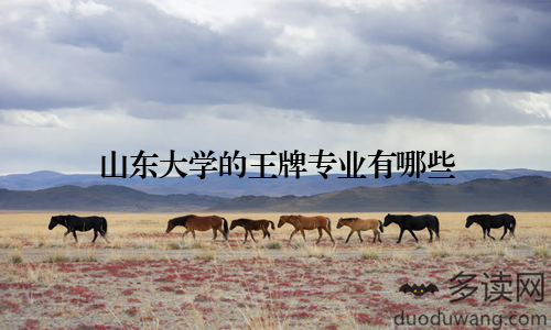 山东大学的王牌专业有哪些