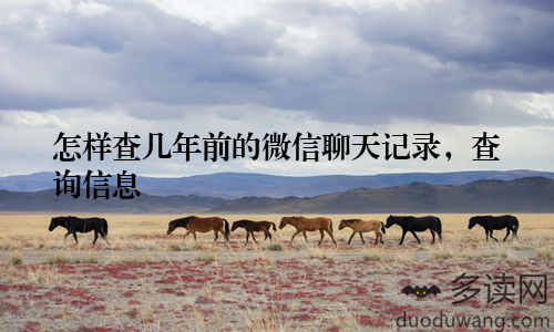 怎样查几年前的微信聊天记录，查询信息