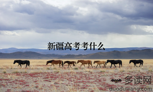 新疆高考考什么