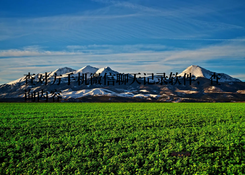 查对方手机微信聊天记录软件，查询内容