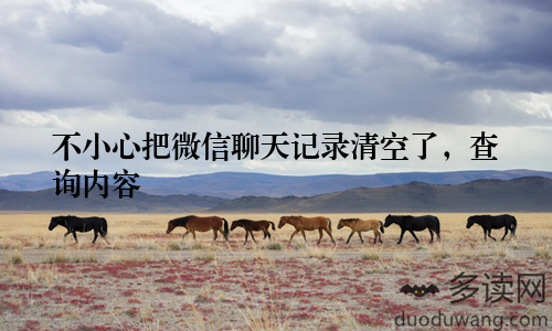 不小心把微信聊天记录清空了，查询内容