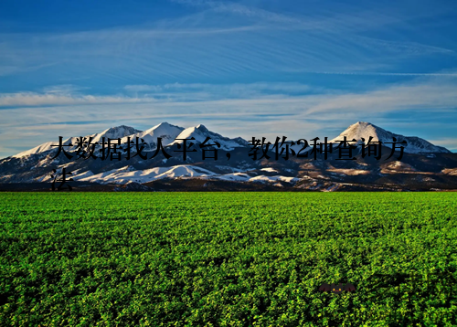 大数据找人平台，教你2种查询方法