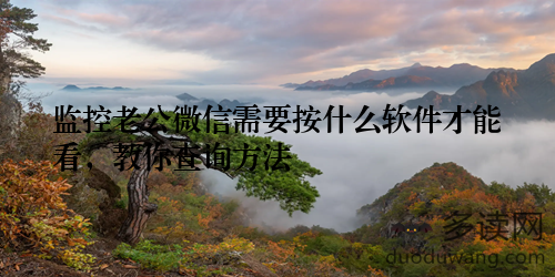 监控老公微信需要按什么软件才能看，教你查询方法