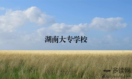 湖南大专学校