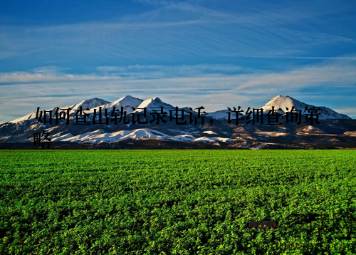 如何查出轨记录电话，详细查询策略