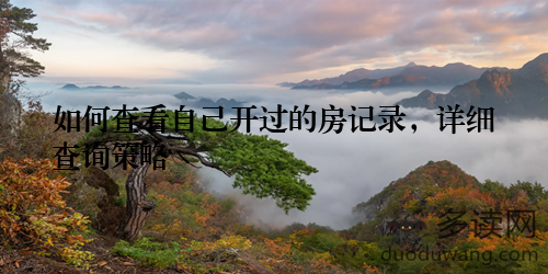 如何查看自己开过的房记录，详细查询策略