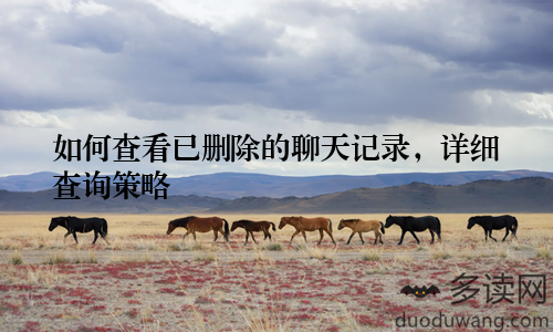 如何查看已删除的聊天记录，详细查询策略