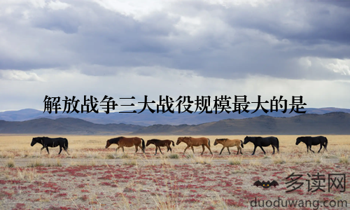 解放战争三大战役规模最大的是