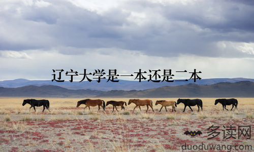 辽宁大学是一本还是二本