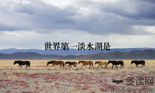 世界第一淡水湖是