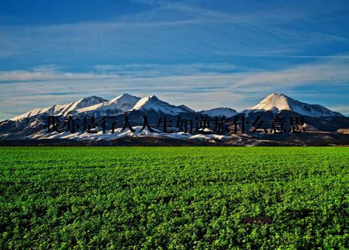 我亦是行人人生如逆旅什么意思