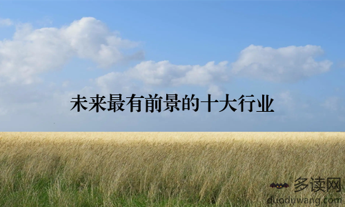 未来最有前景的十大行业