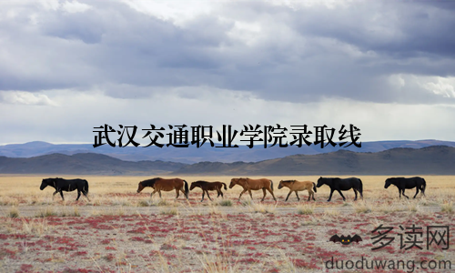 武汉交通职业学院录取线