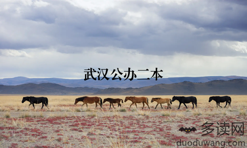 武汉公办二本