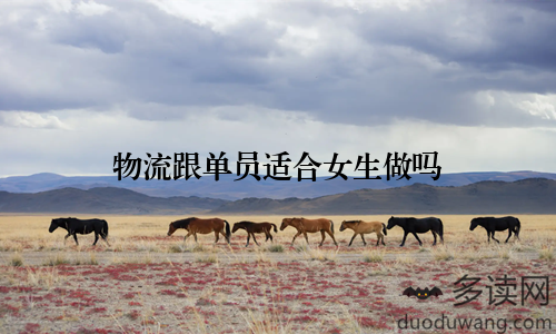 物流跟单员适合女生做吗