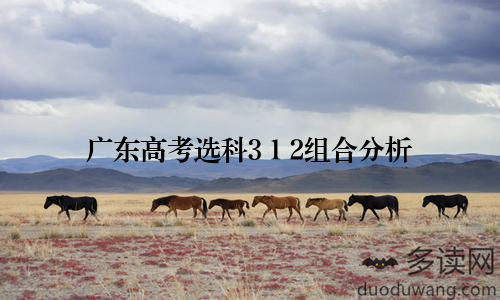 广东高考选科3+1+2组合分析