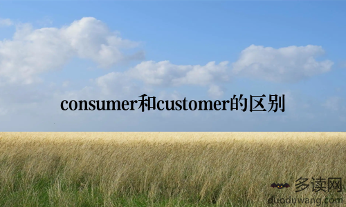 consumer和customer的区别