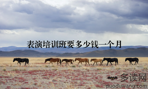 表演培训班要多少钱一个月