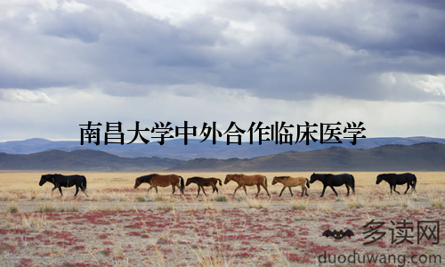 南昌大学中外合作临床医学