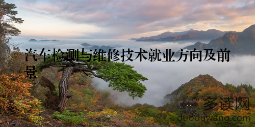 汽车检测与维修技术就业方向及前景