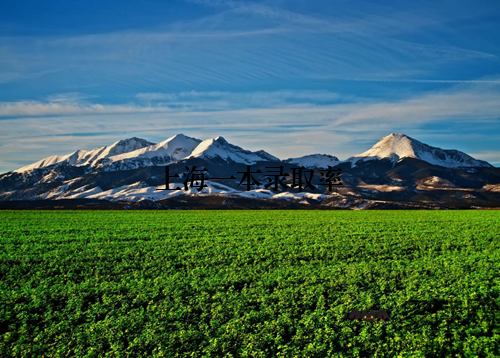 上海一本录取率